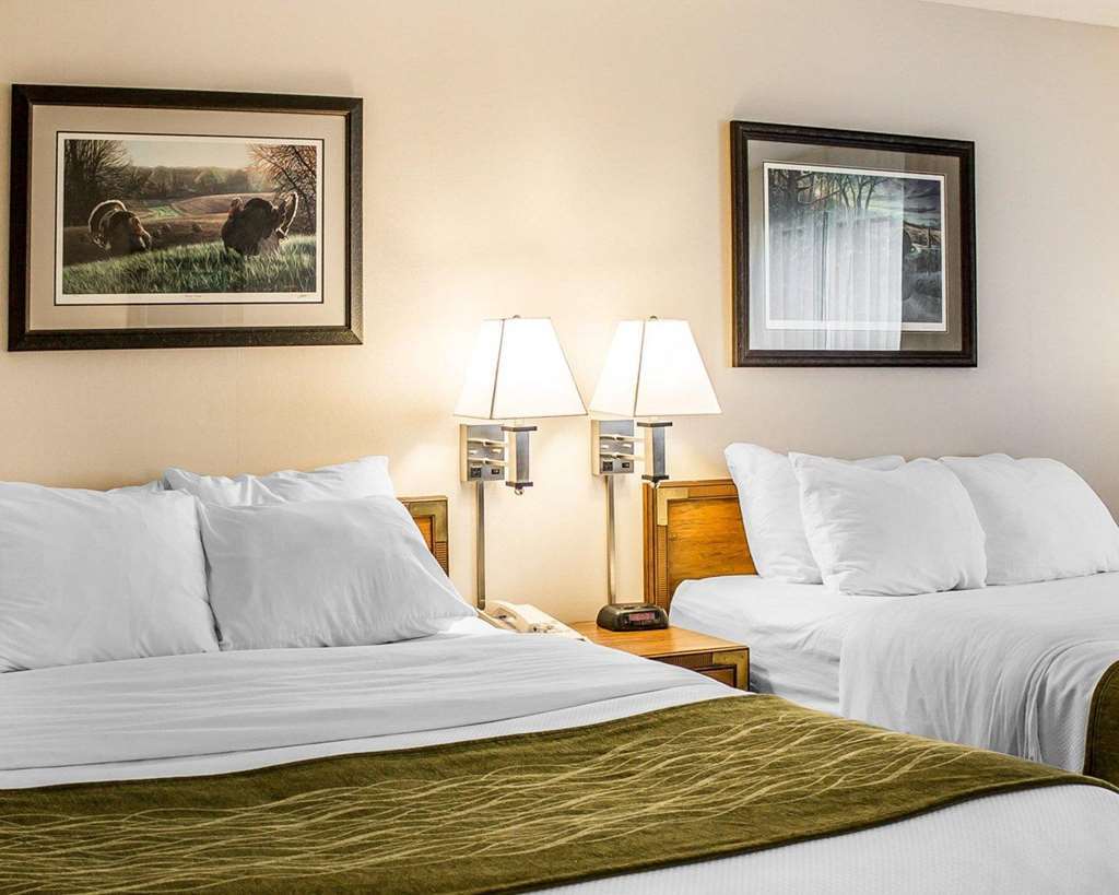 Quality Inn Petoskey-Harbor Springs Quarto foto